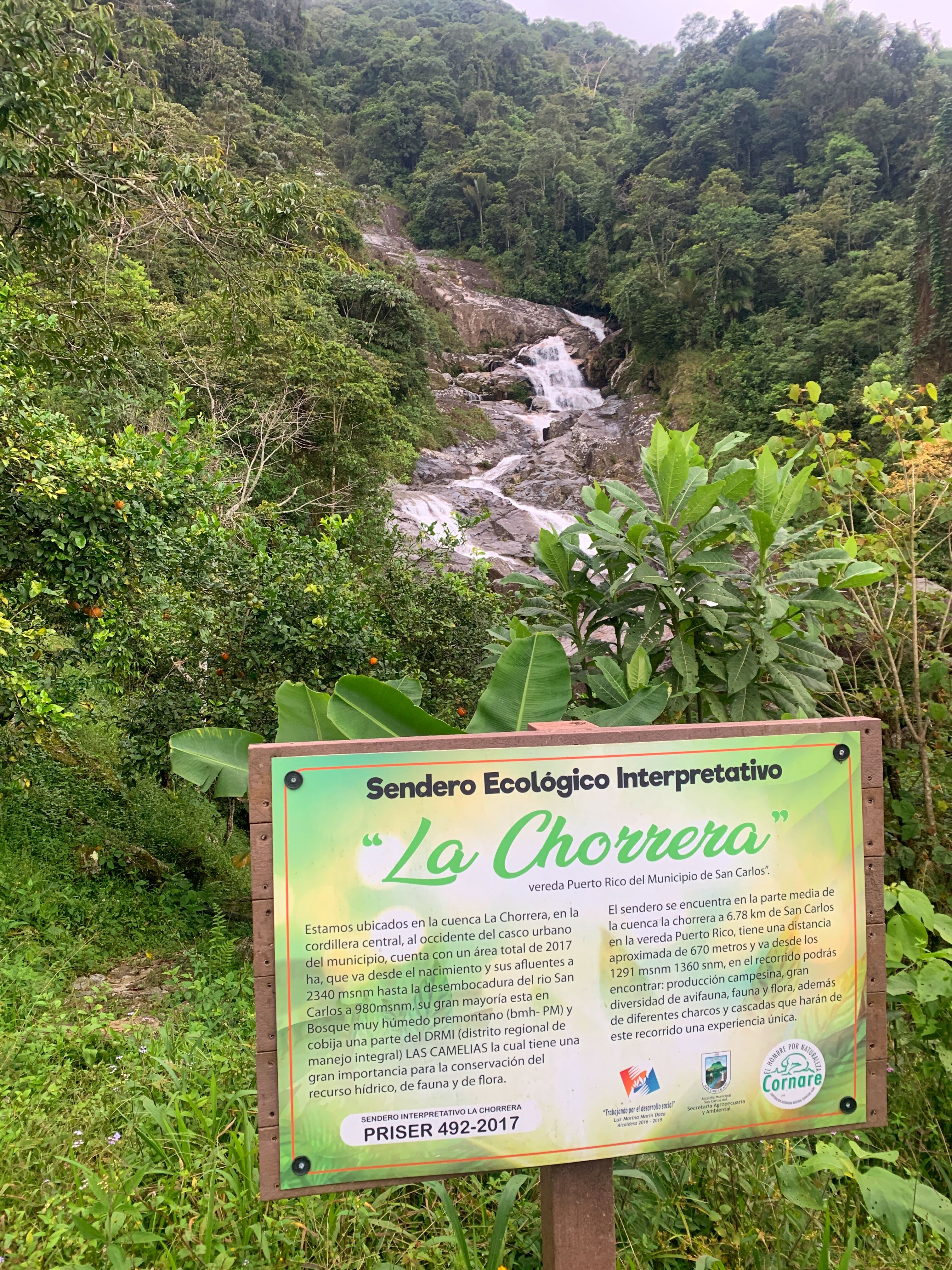 La-Chorrea