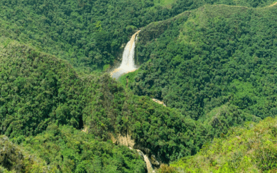 Salto del Buey: must-see waterfall 2hrs from Medellín