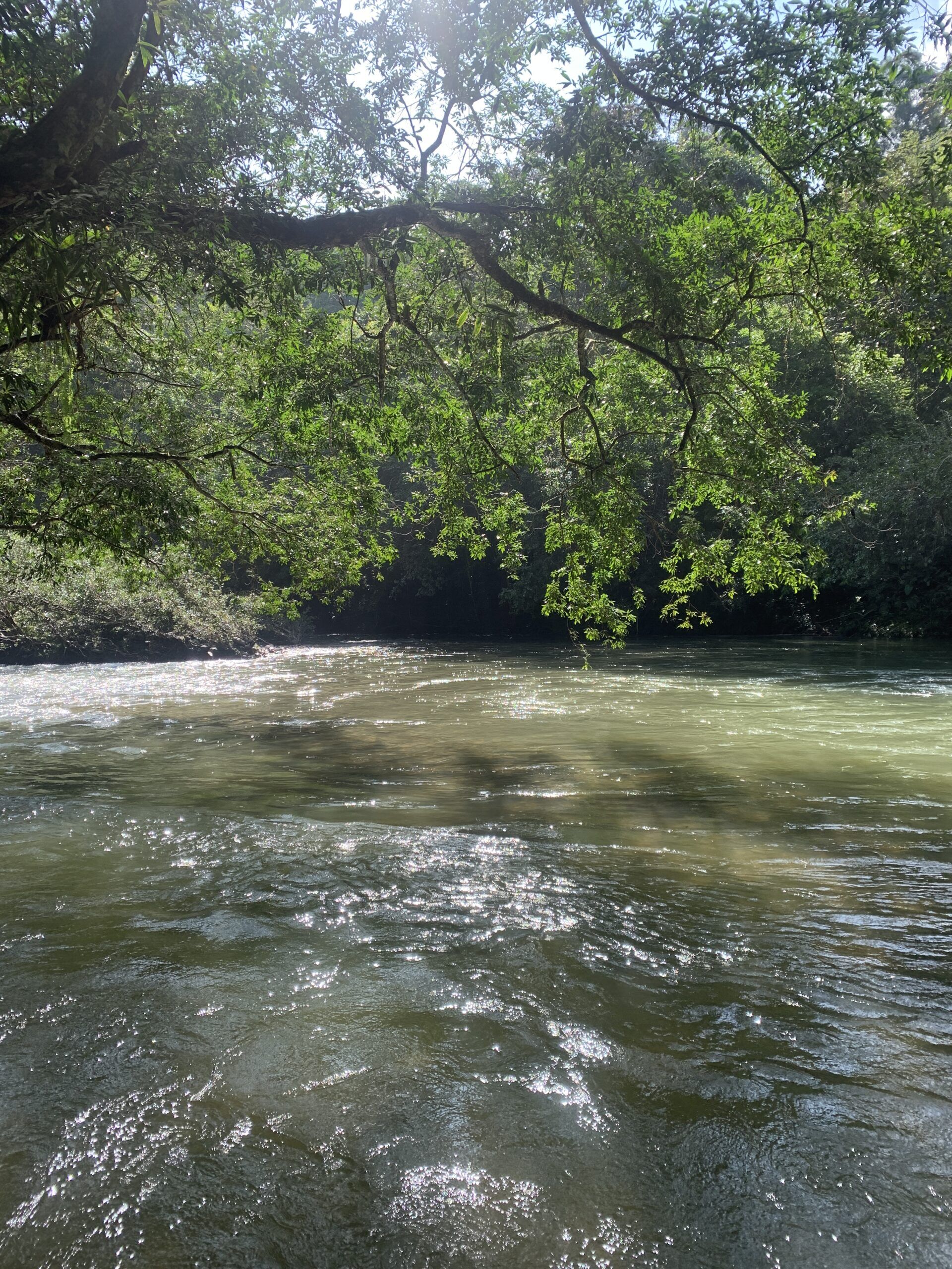 Rio Claro Colombia