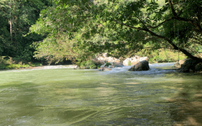 Rio Claro Colombia: Everything you need to know
