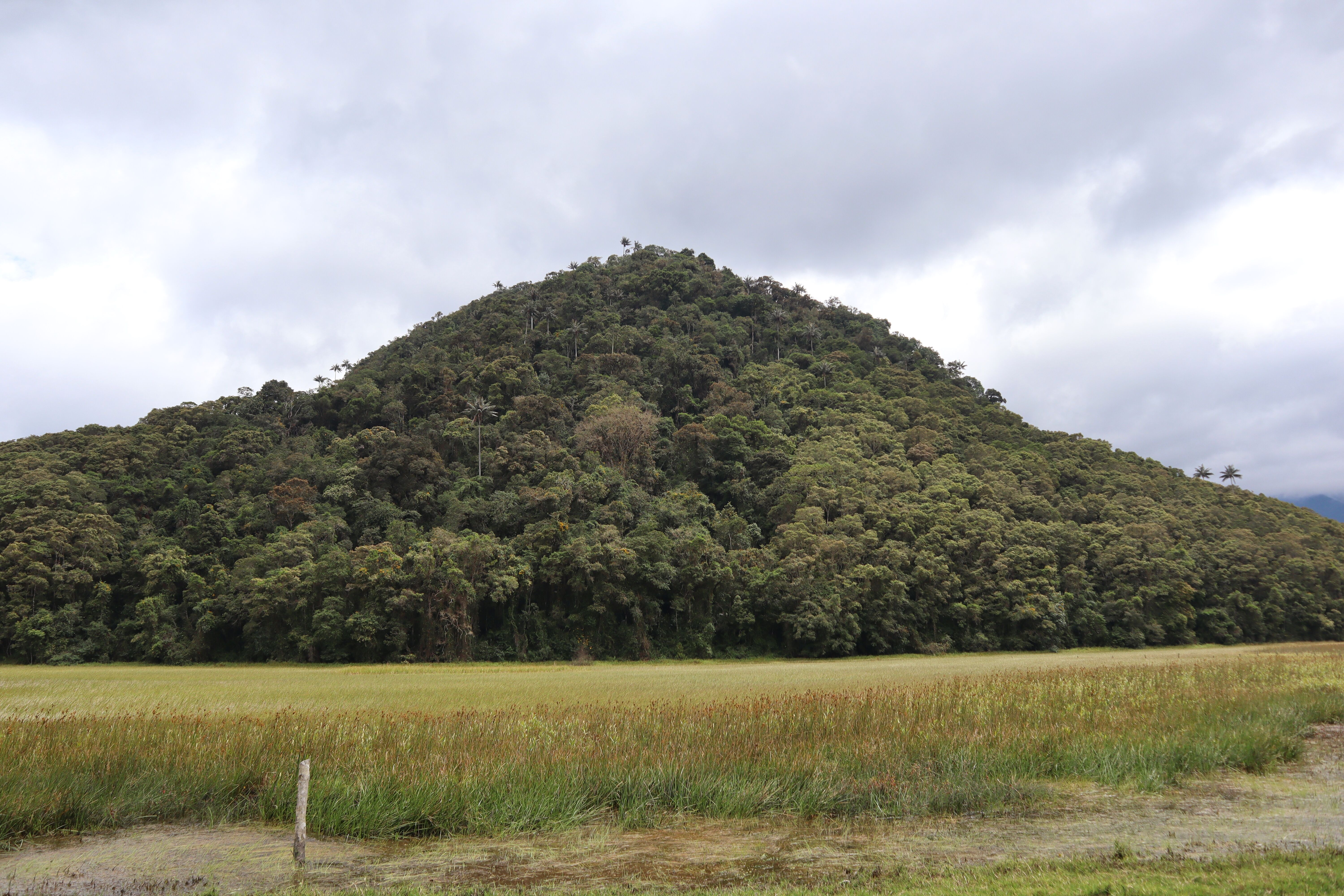 Cerro Machín, Toche, Tolima